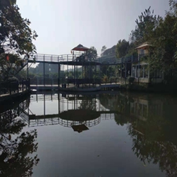 团建回顾|徒步茶园,亲近大自然 团建回顾|徒步茶园,亲近大自然
