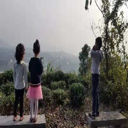 团建回顾|徒步茶园,亲近大自然 团建回顾|徒步茶园,亲近大自然