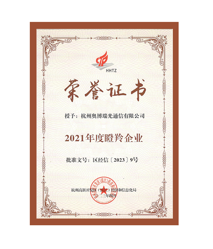 2021年度瞪羚企业